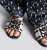 Dway Slide - Image 3